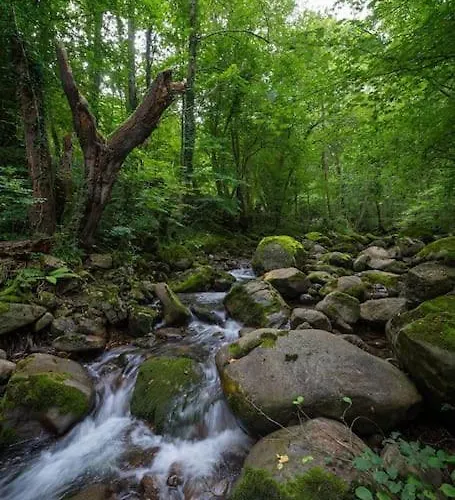 Casa Rustica En La Ecologica San Felix Horská chata Quintana de Soba